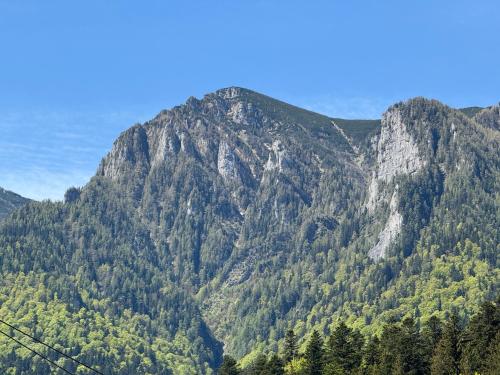 Alpin Vista — Busteni — photo 5