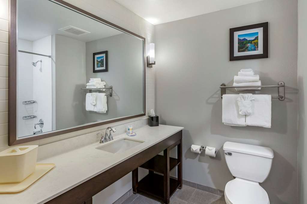 Comfort Inn & Suites Salt Lake City Airport - photo 23