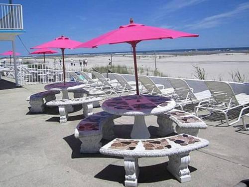 Apollo Resort Motel - photo 30