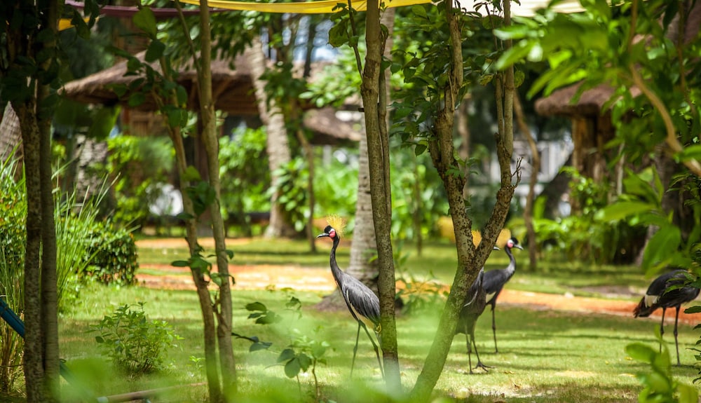 Kafolo Lagoon in Abidjan, Côte D'Ivoire