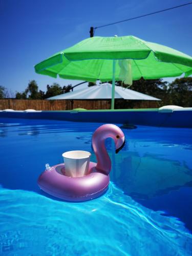 Casa Cavallaro con Piscina estiva giardino e parcheggio — 4-Star Luxury Hotel in Pescara, Italy