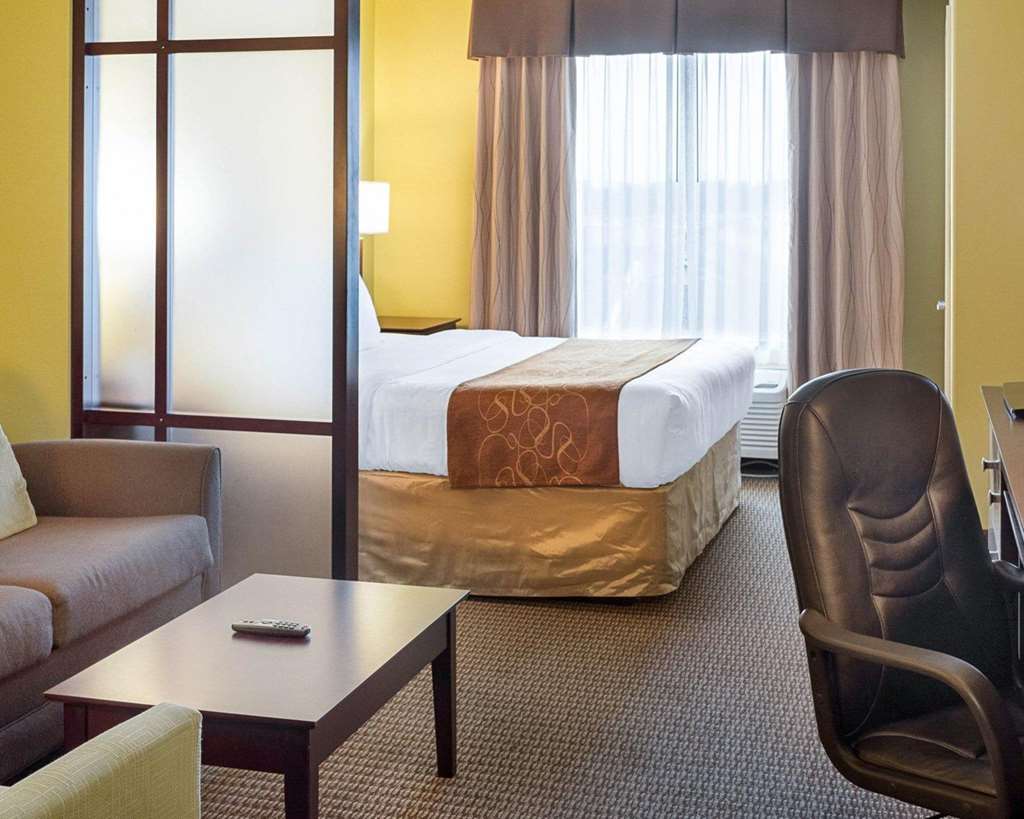 Comfort Suites Harvey New Orleans West - photo 15