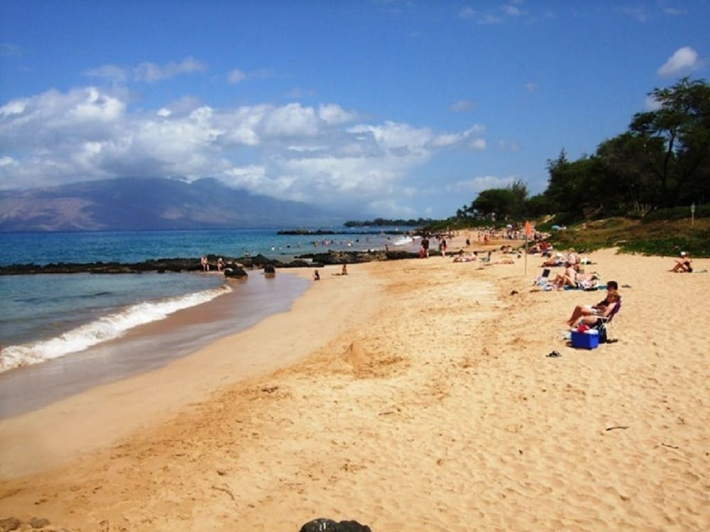 Kamaole Sands #8 110 - photo 17