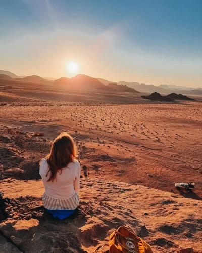 desert Hawk in Wadi Rum, Jordan