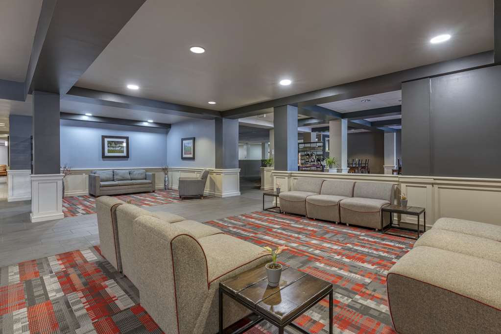 Quality Inn Lexington Horse Park - photo 5