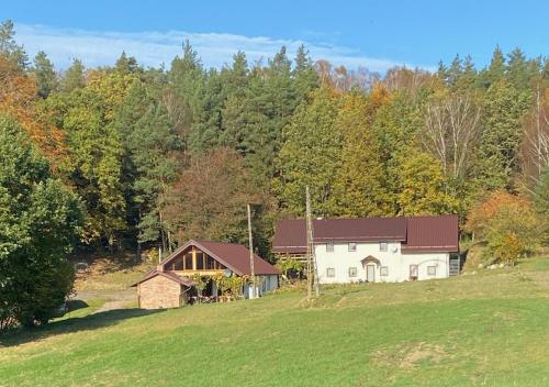 Agrowinnica - last minute hotel in Borzytuchom