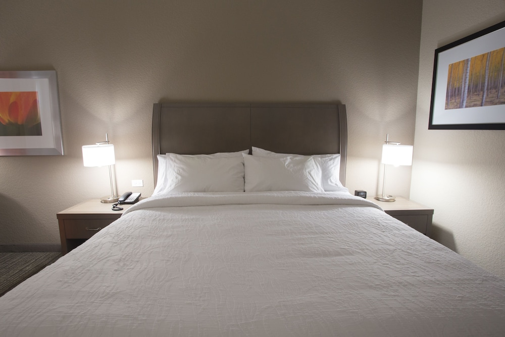 Hilton Garden Inn Bolingbrook I 55 - photo 13