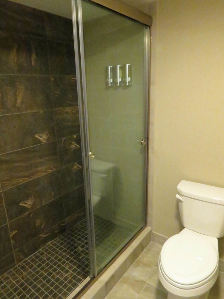 Edgewater Hotel - photo 16