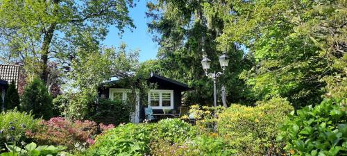 Guesthouse Vakantiehuis In Een Mooie Tuin In Het Centrum Van Zuidlaren 6754820 — Zuidlaren