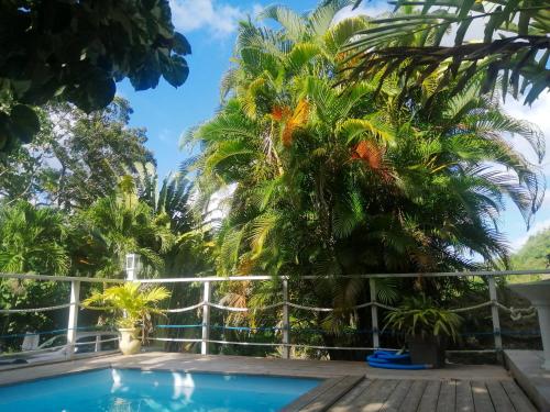 Appartement charmant à Rivière Pilote avec piscine partagéeB — 4-Star Luxury Hotel in Riviere-Pilote, Martinique