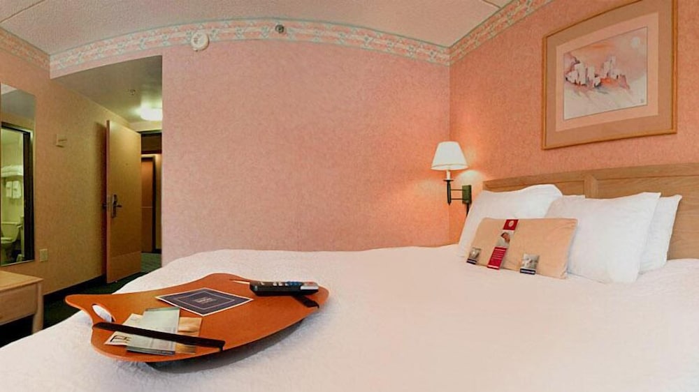 Hampton Inn Summersville - photo 9