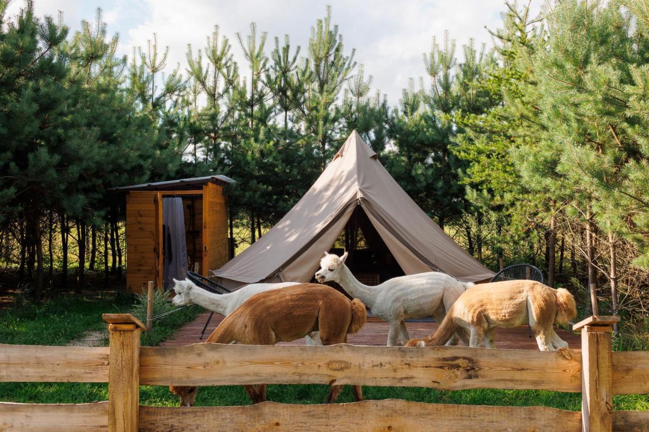 Glamping Projekt Alpaka - carbon neutral hotel in Unknown City