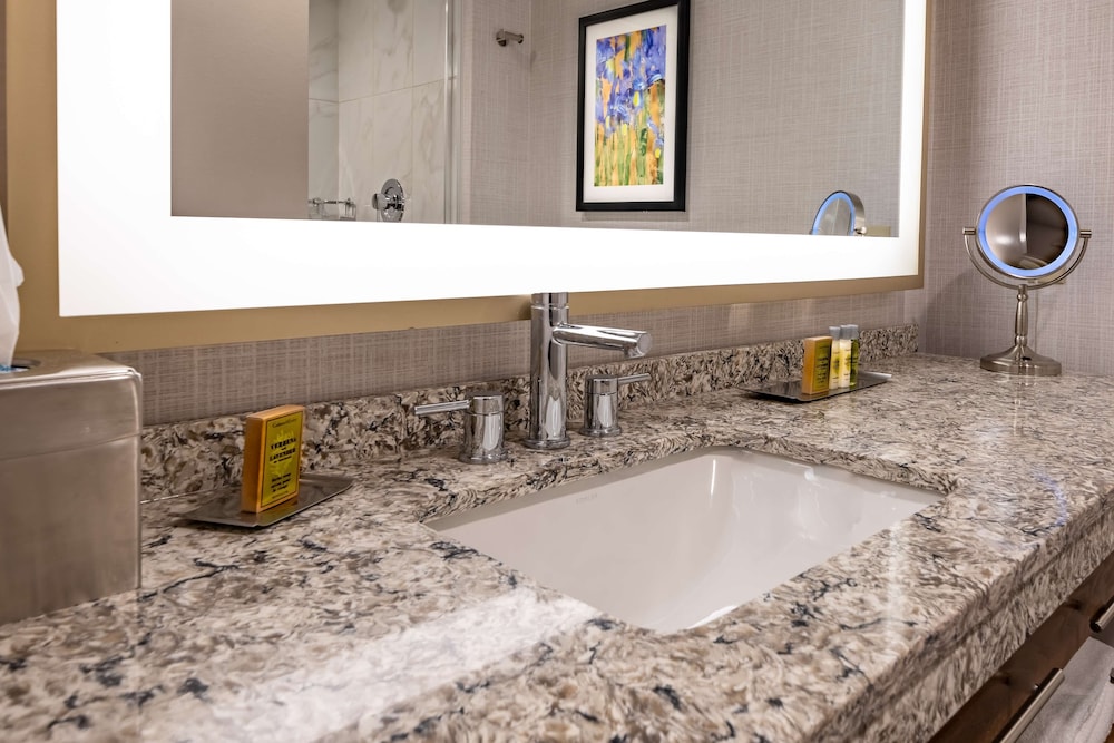 DoubleTree by Hilton Dallas Farmers Branch - photo 17