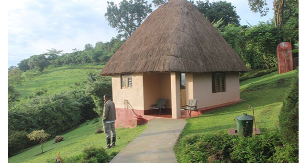 Chimpanzee Forest Guest House 11676174 — Kibale
