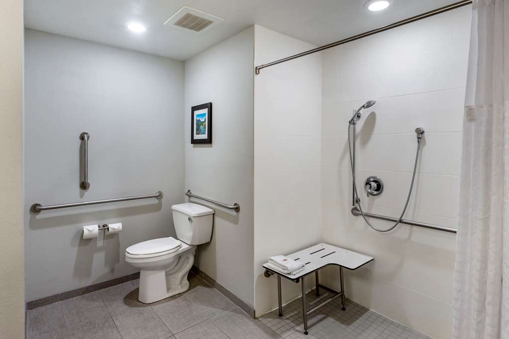 Comfort Inn & Suites Salt Lake City Airport - photo 31