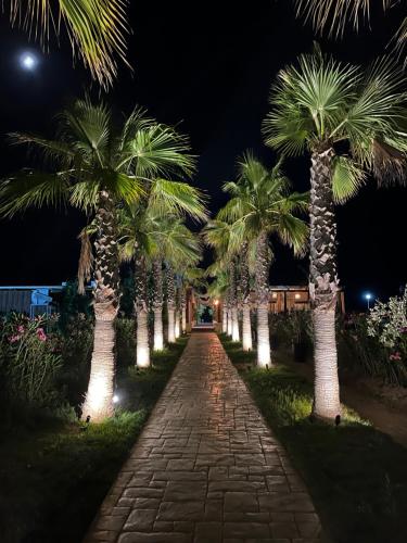 Kena Apartments Lura 2 Resort in Unknown City, Albania