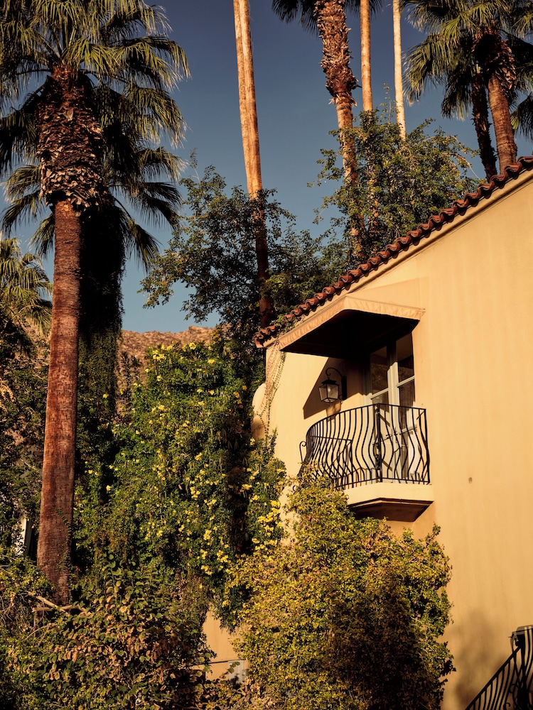The Willows Palm Springs - photo 92