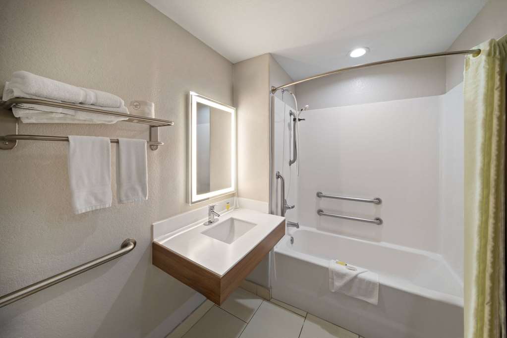 Microtel Inn & Suites by Wyndham Buda Austin South - photo 19