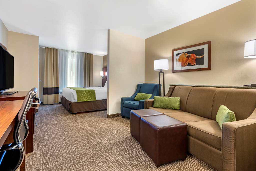 Comfort Suites Fernley - photo 30
