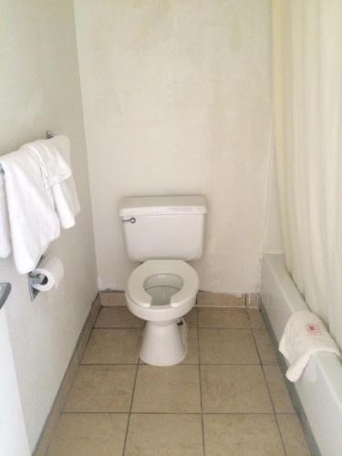 Carpet Inn - photo 14