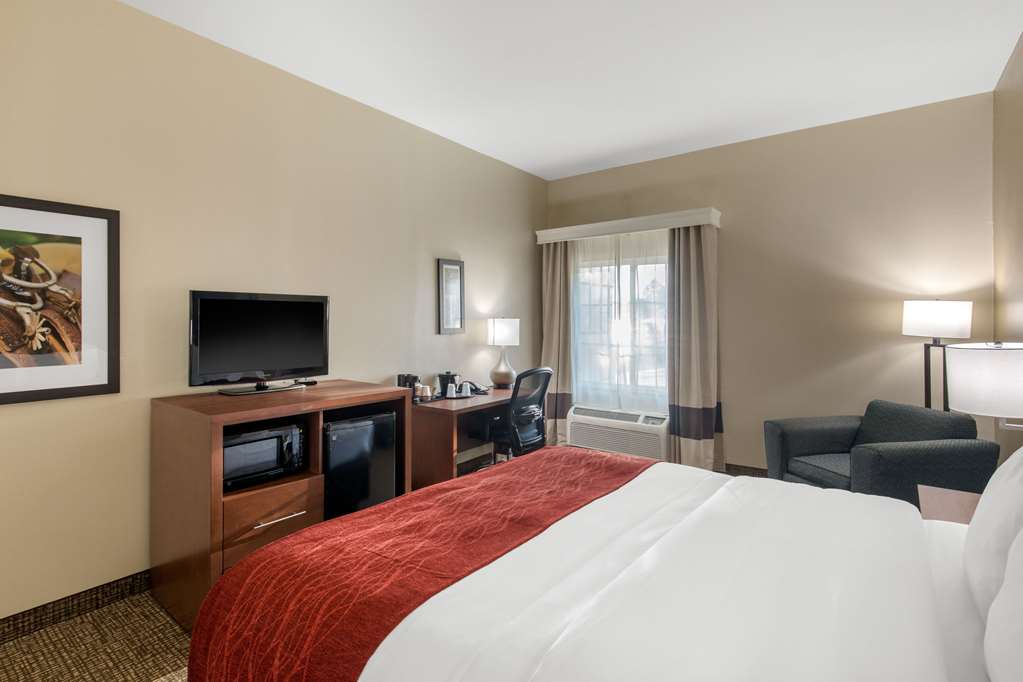 Comfort Inn & Suites Cedar Hill Duncanville - photo 6