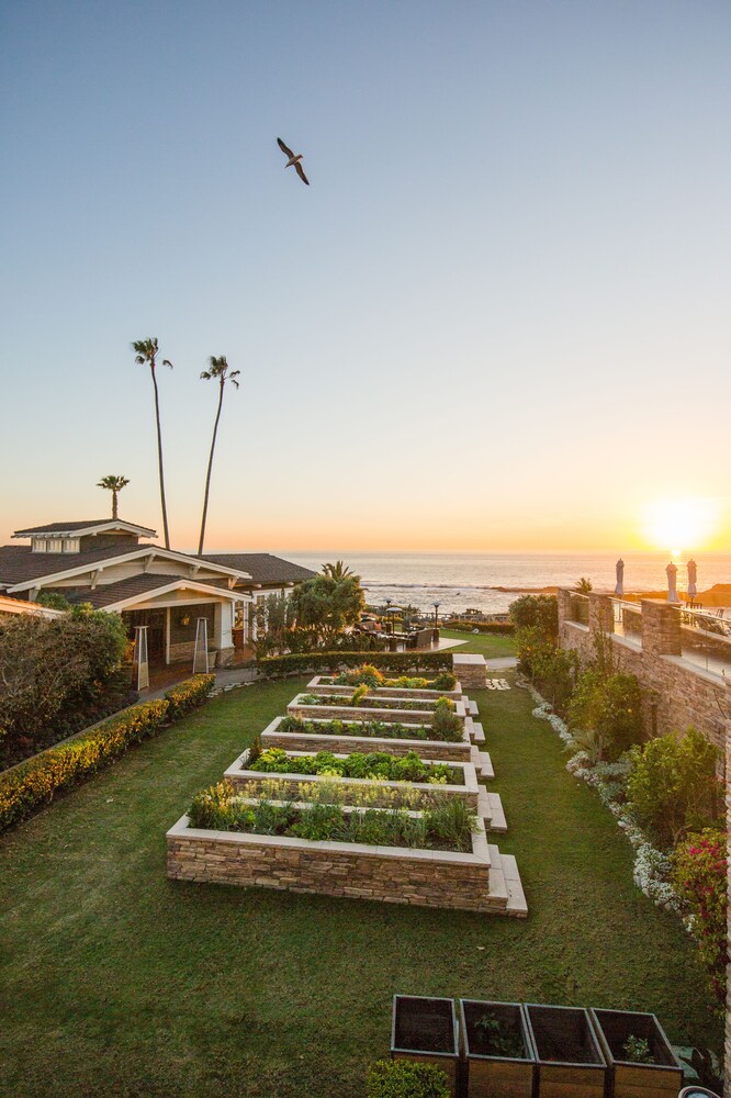 Montage Laguna Beach - photo 57