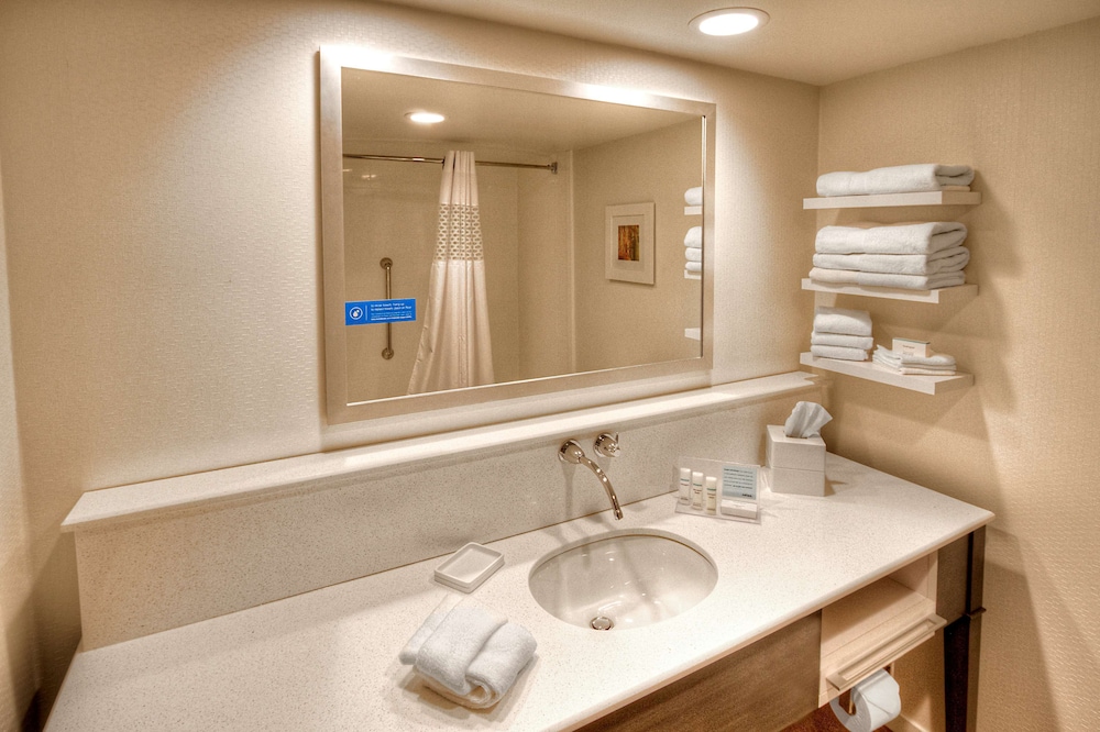 Hampton Inn & Suites Asheville Airport - photo 29