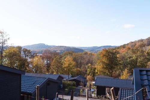 EuroParcs Biggesee — hotel in Attendorn