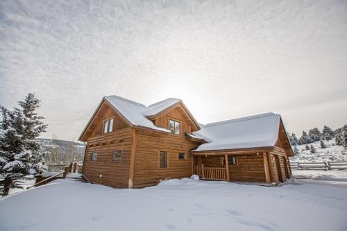 Blue Grouse #4 in Big Sky, United States
