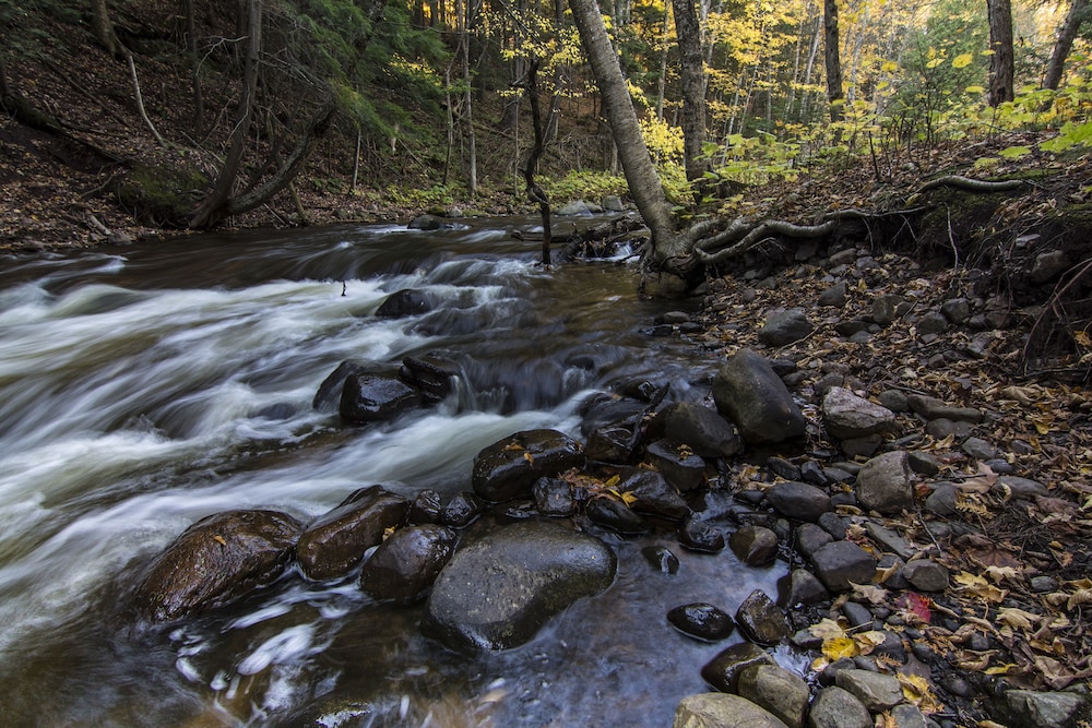 Rippling River Resort - photo 12
