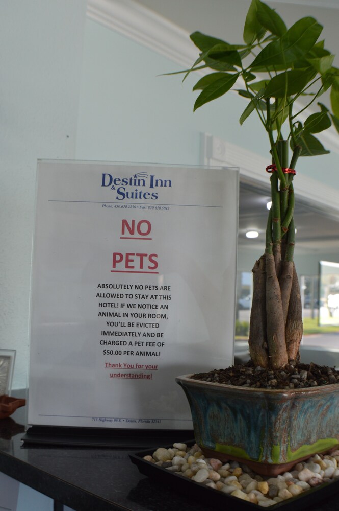 Destin Inn and Suites - photo 4
