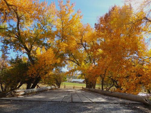 Canyon Of The Ancients Guest Ranch - photo 36