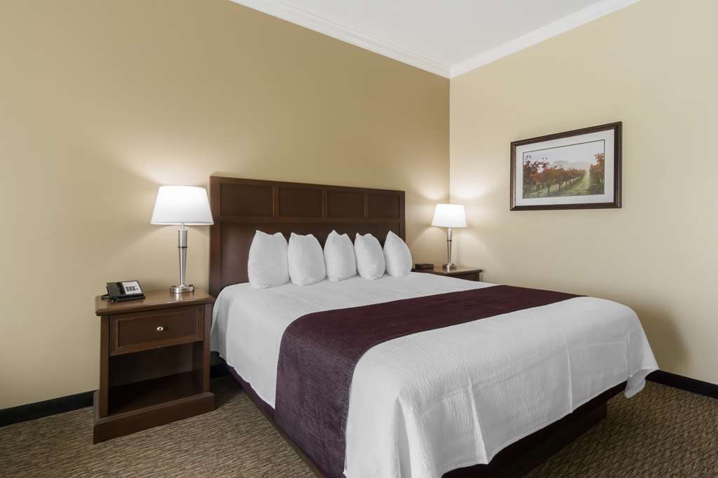 Best Western Plus Grapevine Inn - photo 21