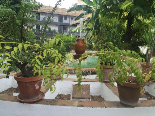 Oasis en el centro de Sevilla — 4-Star Luxury Hotel in Sevilla, Spain