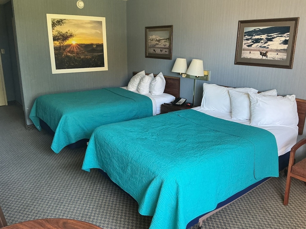 Hot Springs Hotel and Spa - photo 10