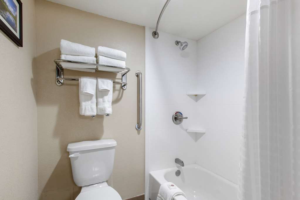 Comfort Inn & Suites Pinetop Show Low - photo 16