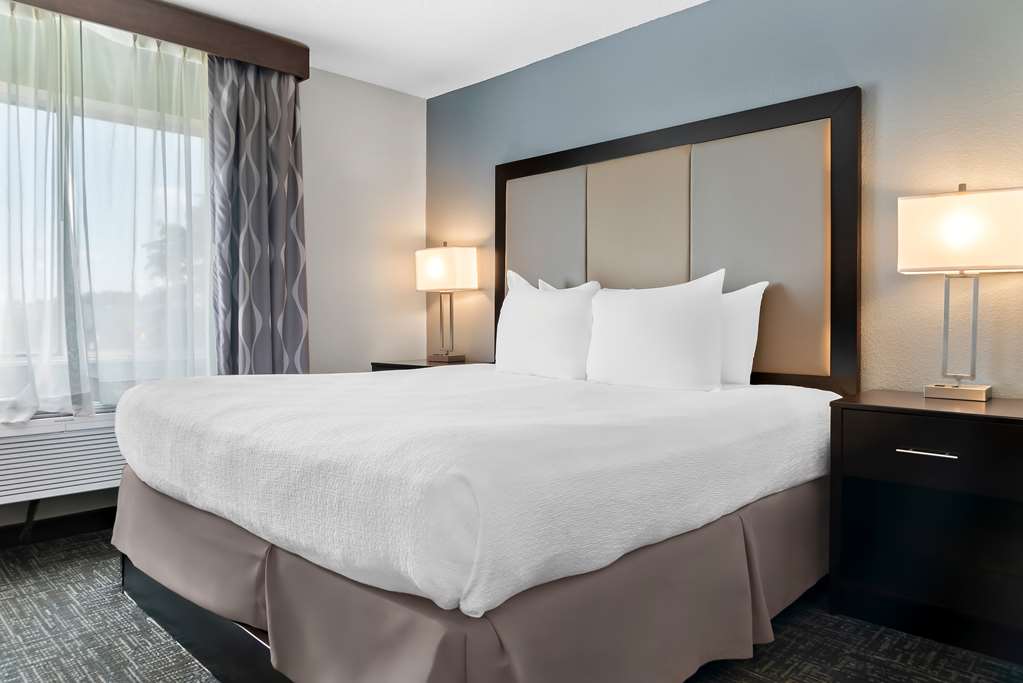 Best Western Plus Flint Airport Inn & Suites - photo 21