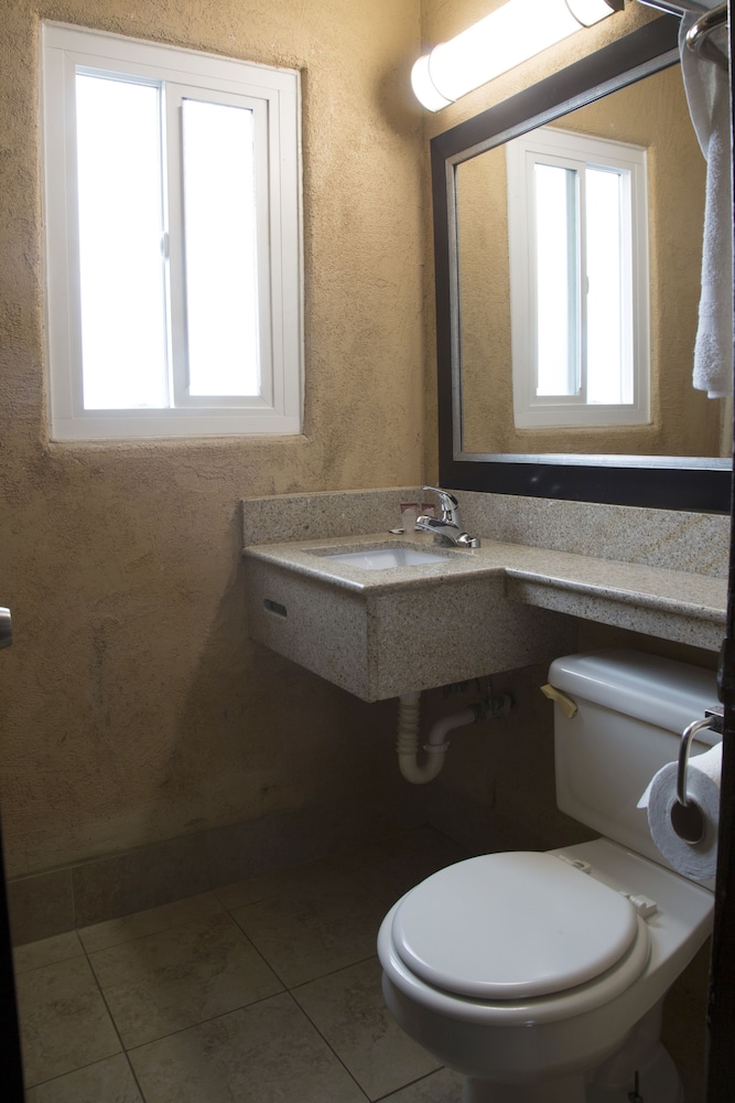 Harbor Inn & Suites - photo 38