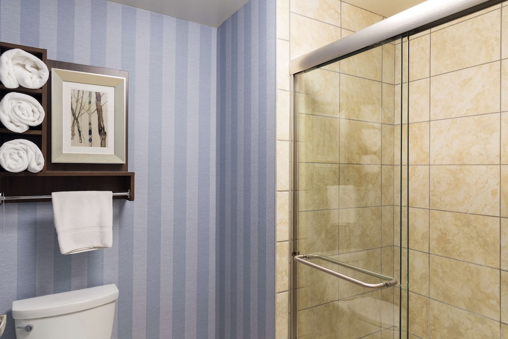 Homewood Suites by Hilton Bloomington - photo 52