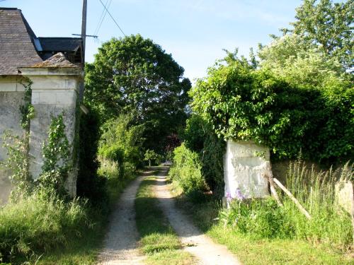 La Mesnagerie — Jarze — photo 3