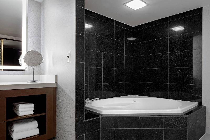 Sheraton Syracuse University Hotel & Conference Center - photo 38