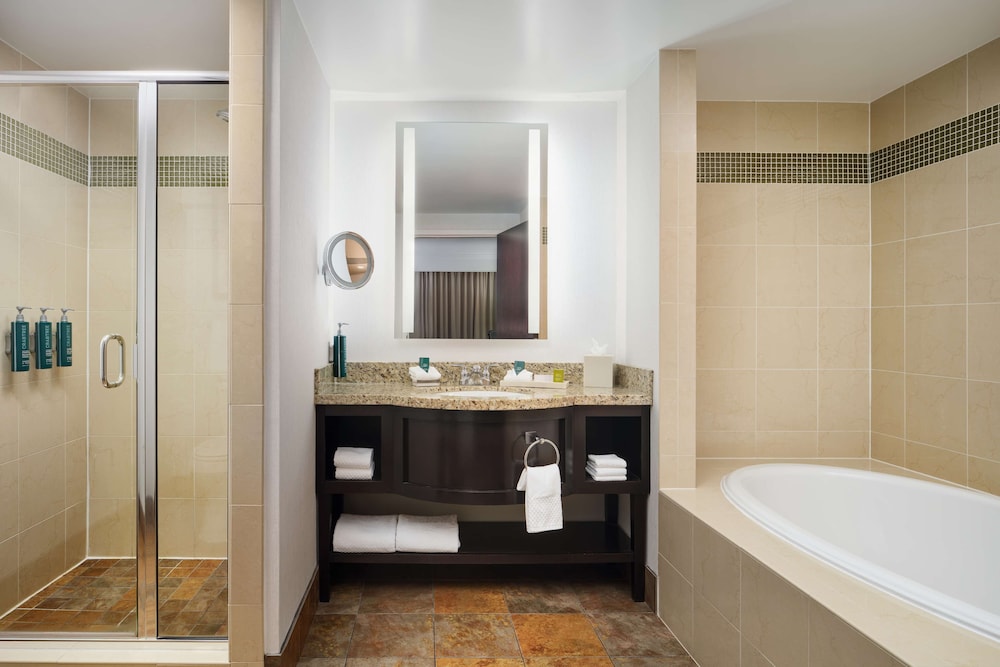 Hilton Richmond Hotel & Spa Short Pump - photo 19