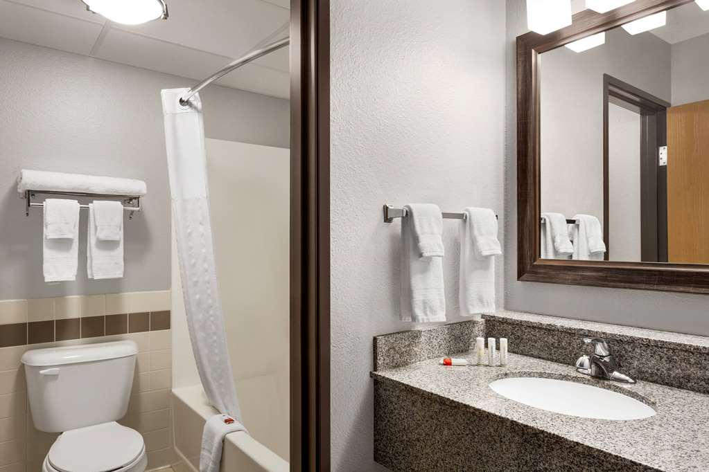 AmericInn by Wyndham Sauk Centre - photo 26