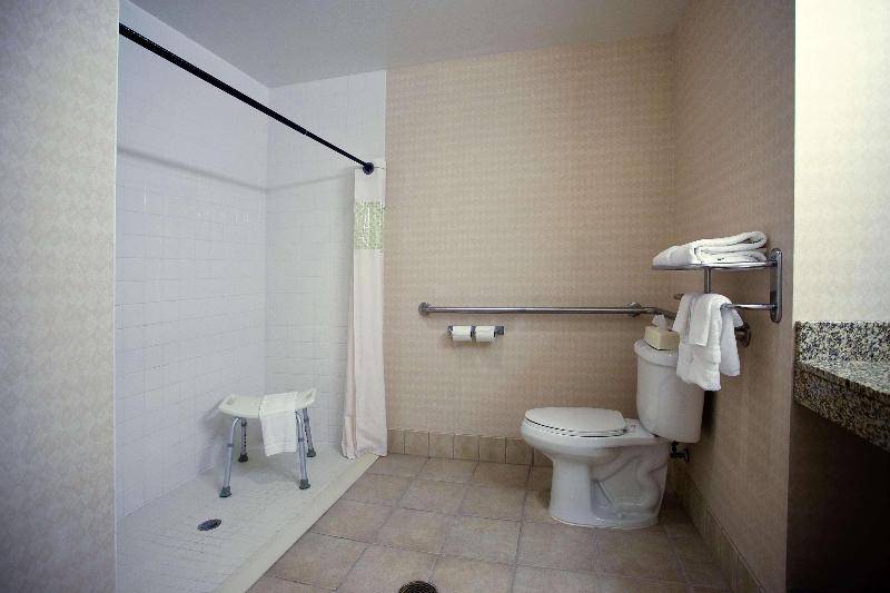 Hampton Inn Carrollton - photo 27