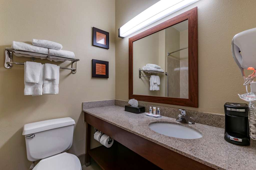 Comfort Inn & Suites Waterloo Cedar Falls - photo 23