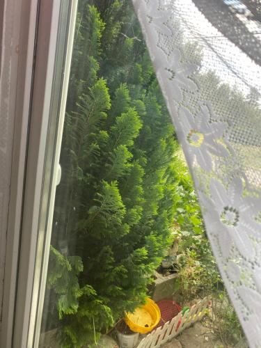 Privat szobak 3 — Budaors — photo 2