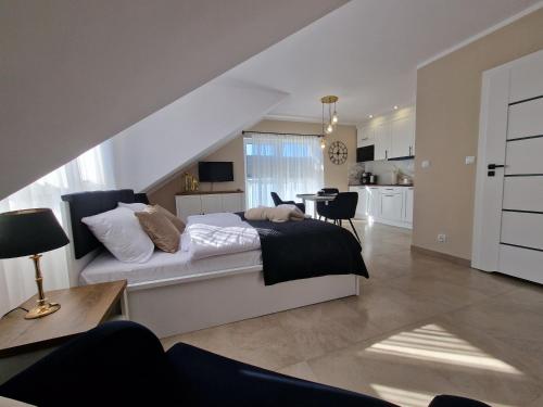 Apartamenty Malaga II — 4-Star Luxury Hotel in Darlowo, Poland
