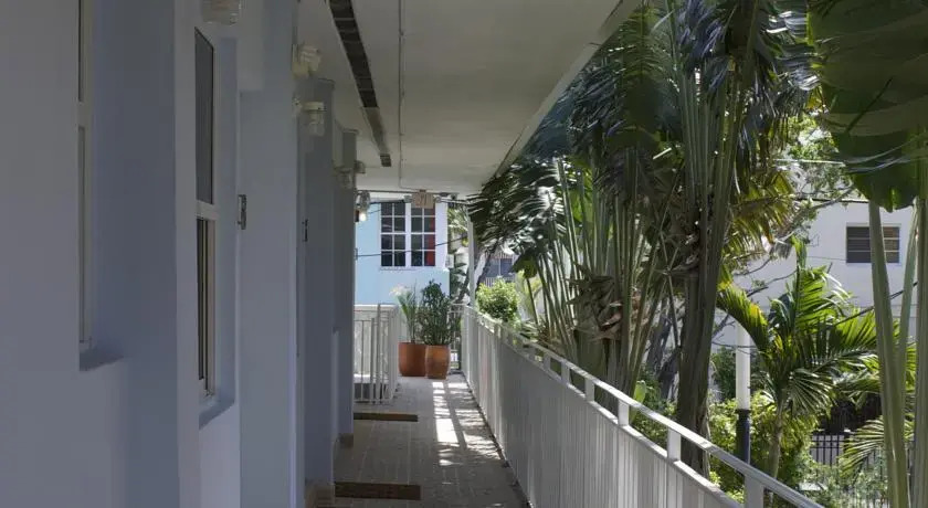 Hotel Playa de Oro - photo 18