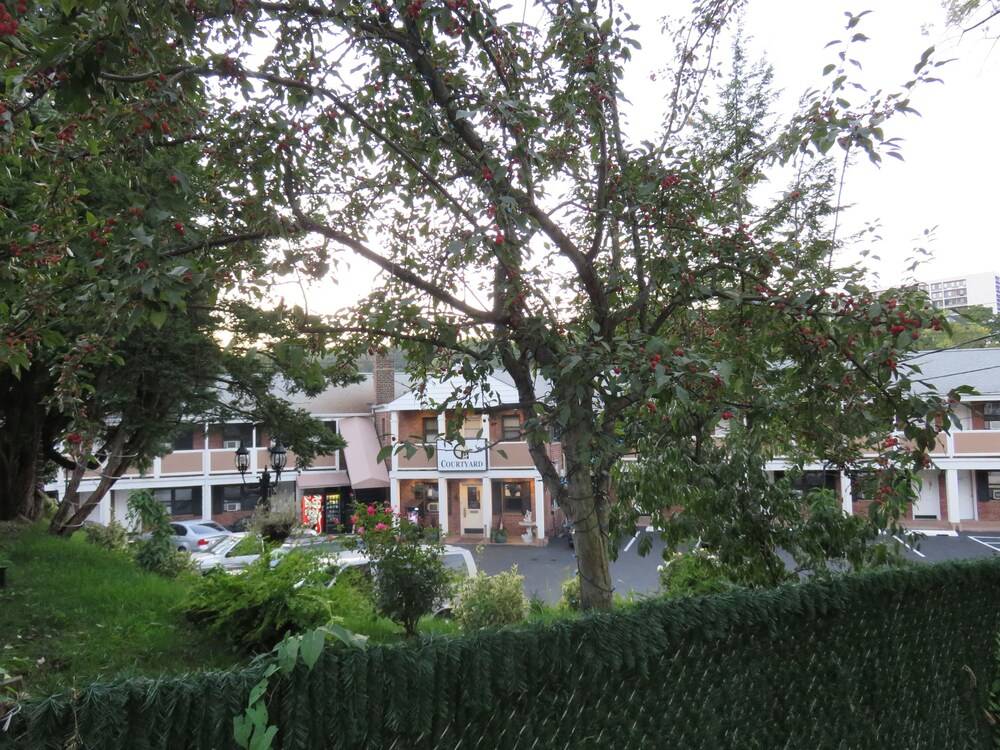 Central Motel Court Yard - photo 134