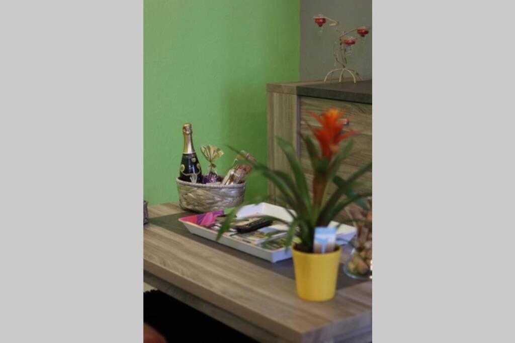 Belena Gold Coast in Beaune, France